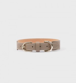 Women's Sporty And Rich Dog Collar Small Leather Goods Gold | kYAlIJ2cgRE