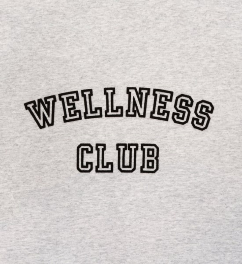 Men's Sporty And Rich Wellness Club Flocked Crewneck Sweatshirts Grey | JR2tbgBg475